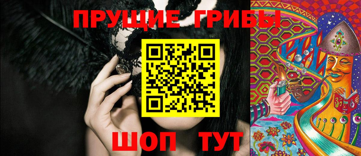 Псилоцибиновые грибы Psilocybe Тайшет